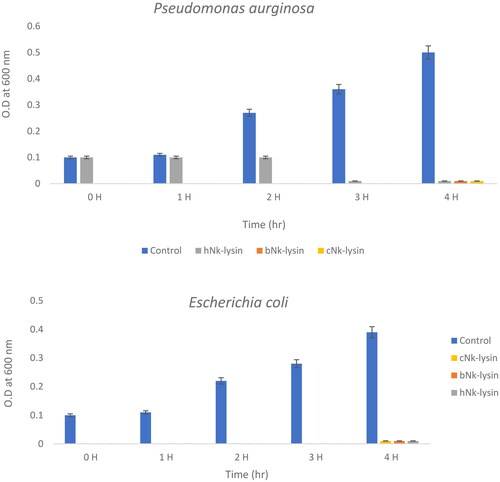 Figure 3. Growth kinetic activities of 2xMIC of chicken, bovine and human Nk-lysin peptide against Streptococcus pyogenes (ATCC 19615) (*p˂0.02 compared to control group) and Streptococcus mutans (isolate) (*p˂0.02 compared to control group), Escherichia coli (ATCC 11775) (*p˂0.03 compared to control group), Klebsiella oxytoca (ATCC 49131) (*p˂0.03 compared to control group), Pseudomonas aeruginosa (ATCC 9027) (*p˂0.04 compared to control group), Salmonella typhimurium (ATCC 14028), Klebsiella Pneumonia (isolate) (*p˂0.02 compared to control group)and Shigella sonnei (ATCC 25931) (*p˂0.03 compared to control group). Data presented as means (±SD) of three independent repeats in triplicate.