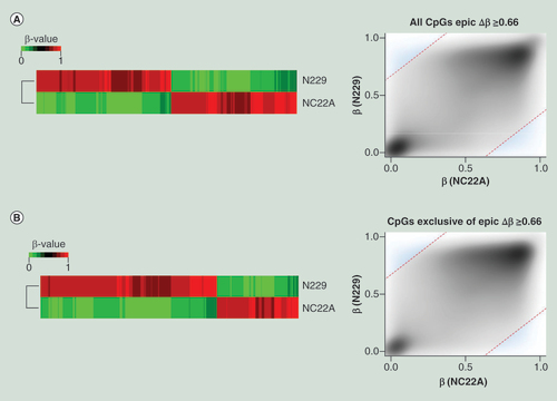 Figure 5. Biological validation of the 850K DNA methylation microarray. (A) Differentially methylated CpG sites (Δβ ≥0.66 ) on MethylationEPIC BeadChip microarray from a normal colon sample (NC22A), and normal sorted brain neurons (N229). Heatmap representation of differentially methylated CpG sites (left) and methylation values distribution (right) of samples where methylation differences threshold has been denoted as a discontinued red line (Δβ ≥0.66), and those values considered as differentially methylated have been highlighted in blue. (B) Differentially methylated CpG sites (Δβ ≥0.66), among the newly added 413,759 CpG sites of the MethylationEPIC BeadChip microarray, for a normal colon sample (NC22A), and normal sorted brain neurons (N229). Heatmap representation of differentially methylated CpG sites (left) and methylation values distribution (right) of samples where methylation differences threshold has been denoted as a discontinued red line (Δβ ≥0.66), and those values considered as differentially methylated have been highlighted in blue.