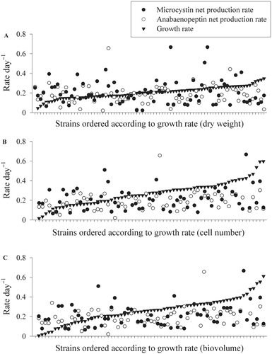 Fig. 5. Growth rates (black triangles) and corresponding peptide production rates (microcystin, black circles and anabaenopeptin, white circles) for 49 Planktothrix strains measured under maximum growth rate conditions. Cell growth rates were estimated from (A) dry weight, (B) cell numbers and (C) biovolume.