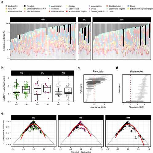 Figure 3. (a) The relative abundance (%) of bacterial genera in first-year college students’ gut microbiome samples. Each vertical bar represents a separate stool sample taken at the beginning of the study period. Samples are categorized by weight gain trajectory over the academic year (weight gain [WG], weight loss [WL], and weight maintenance [WM]) and are ordered according to the abundance of Bacteroides. Samples from 139 individuals in total: WG = 67, WL = 13, and WM = 59, respectively. The top 20 genera are displayed with the remaining taxa collapsed into the category “other”. (b) Log10 ratio of Prevotella-to-Bacteroides displayed a significant effect of weight change category (linear-mixed effects model, P = .033). In boxplots, the median is represented by the center line with the box representing the 1st and 3rd quartiles, whiskers extend 1.5× the interquartile range with outliers individually plotted. Temporal variation of (c) Prevotella and (d) Bacteroides represented by horizontal lines (CLR abundance range) over the study duration for each participant. Bold lines indicate potential state-shift by intersecting the estimated tipping point (red dashed line). (e) Ternary plots for WG, WL, and WM participants depicting the relationship between Prevotella (dominate at the right vertex), Bacteroides (dominate at the left vertex), and the other genera (other = 1 – (Prevotella – Bacteroides); dominate at the top vertex). Curvature of transitions within and between Prevotella- and Bacteroides-dominated regions is denoted by a polynomial regression line (red) which accounted for the majority of explained variance (WG = 81.8%, WL = 88.5%, WM = 89.9%).