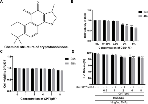 Figure 1 Screening of safe concentrations of CSE and cryptotanshinone (CPT).