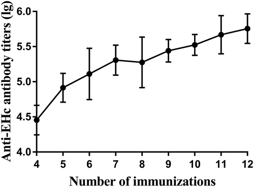 Figure 3. Anti-rEHc antibody titers of horse sera. Horses were immunized with rEHc and sera samples were collected 7 days after each immunization, and anti-rEHC antibody titer was measured by ELISA. Serum sample from individual horse was assayed, and the geometric mean titers (GMT) were calculated.