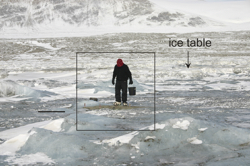 FIGURE 1 Looking south over Lake Fryxell at the beginning of the sediment melt experiment, 10 November 2007, scale bar 1 m. The introduced sediment is below the person in the box. The topography was relatively flat near the experiment, with “ice tables,” 0.5–1 m in height, visible in background.