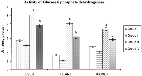 Figure 6. Effect of Butea monosperma bark on glucose 6-phosphate dehydrogenase in normal and diabetic rats. The data are expressed as mean ± SD. ap < 0.05 compared to the normal control group; bp < 0.05 compared to the diabetic control group.