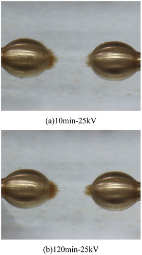 Figure 2. Cellulose particles accumulation in mineral oil (a)10 min-25 kV (b)120 min-25 kV.