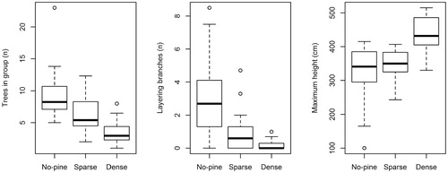 FIGURE 5. Boxplots of number of trees in a clonal group, number of layering branches, and maximum height for spruce groups in each pine stand type (dense, sparse, no-pine). The horizontal line in each box represents the median; the hinges represent the 25th and 75th percentiles; the whiskers represent 1.5 times the interquartile range; open circles represent values outside this interval.