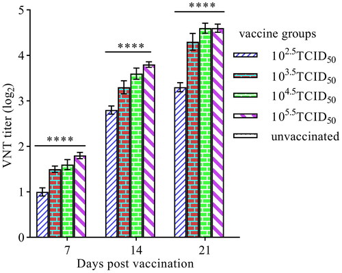 Figure 6. Virus-neutralizing antibody titres. The mean protective antibody titre reached up to 23.3 in group A and 24.3, 24.6, 24.6, in group B, C and D, respectively. There was significant difference ****p < 0.0001 between immunized and control groups. Data were analyzed by one-way ANOVA.