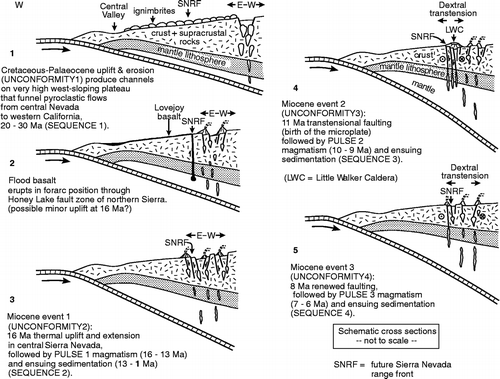 Figure 7 Sketch model for the Cenozoic tectonic evolution of the central Sierra Nevada. The cartoon cross-sections illustrate key features in the crust and subducting slab, and are not drawn to scale.