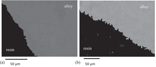 Figure 2. Back scattered SEM images through (a) 304 and (b) 316 revealing the contours of the inner surface of the tubes created by the pickling process.