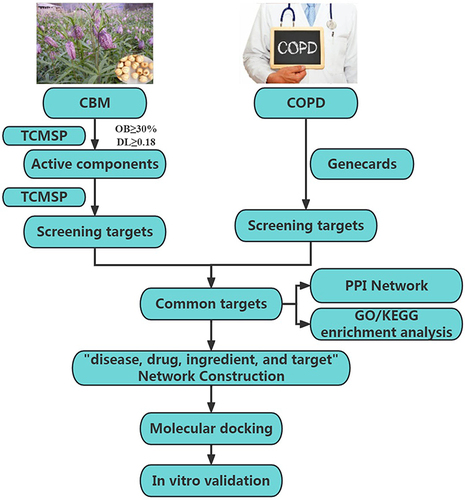 Figure 1 The overall flow chart of this work.