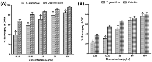 Figure 2. Radical scavenging activity of T. grandiflora extract compared with the standard. (A) Percent of DPPH radical scavenging by different concentrations of the extract and reference standard ascorbic acid as assessed by spectrophotometric method using DPPH free radicals. (B) Percent of hydroxyl radical scavenging by different concentrations of the extract and reference standard (+)-catechin as assessed by the Fenton-reaction initiated deoxyribose degradation method.