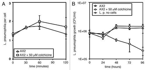 Figure 2 Legionella pneumophila uptake (A) and intracellular proliferation (B) in cells treated with the microtubule inhibitor colchicine. AX2 cells were preincubated on ice for 15 min, colchicine at 0.05 mM was added and the cells were warmed up to 25°C before addition of the bacteria. L. pneumophila uptake (A) and growth (B) were assessed as described in the legend to Figure 1.