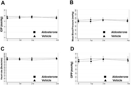 Figure 5. Change in IOP, mean arterial pressure, heart rate, and OPP after systemic administration of aldosterone or vehicle for 4 weeks. Changes in IOP (A), mean arterial pressure (B), heart rate (C), and OPP (D) are shown. Error bars denote the 95% confidence intervals (aldosterone group, n = 13; vehicle, n = 9). IOP: intraocular pressure; OPP: ocular perfusion pressure.
