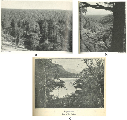 Figure 10. The photograph in Figure 10.a was taken by Karin Jansson and published in the yearbook of 1940 (Ekman, Citation1940, p. 309). The photograph in Figure 10.b was taken by Pål-Nils Nilsson and published in the yearbook of 1957 (N. L. Olsson, Citation1957, p. 83), while the photograph in Figure 10.c was taken by G. Améen and published in the yearbook of 1900 (Améen, Citation1900, p. 49).