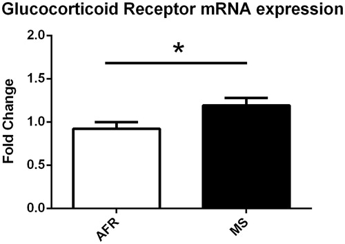 Figure 7. MS-exposed dams present increased glucocorticoid receptor mRNA expression. AFR: n = 6e MS: n = 6. Hippocampal gene expression normalized to GAPDH using the ΔΔCt method and relative to AFR. Data presented as mean ± standard error of the mean (SEM) *p < .05.