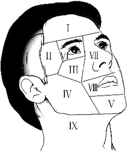 Figure 1 Facial partition.
