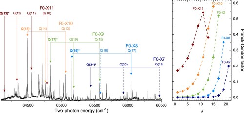 Figure 5. (Left): Overview spectra recorded in a two-laser scheme with two-photon UV-photolysis of H2S, followed by 2+1 REMPI on F-X(v′,v′′) bands with a UV-tunable frequency-doubled dye laser. Transitions are labelled with quantum numbers of the ground level. Excitations from quasi bound resonances are indicated with asterisk (*). The dashed arrows represent the calculated positions of unobserved transitions. (Right): Calculated Franck-Condon factors for the bands F-X(0,v′′) as a function of J.