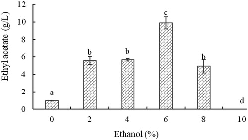 Figure 6. Effect of initial concentration of ethanol on the concentration of ethyl acetate produced by yeast strain YF1503.