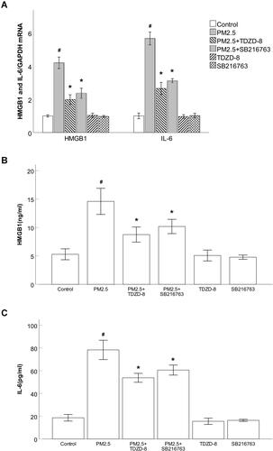 Figure 7 GSK-3β inhibitors blocked PM2.5-induced inflammatory responses in HBECs.