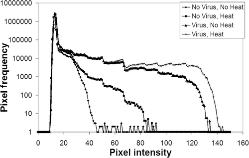Figure 1. This figure is an example showing the results of one batch of four mice, one in each treatment group, where an increased viral dissemination was noted in the heated tumor as compared to the non-heated tumor. Pixel frequency distribution was obtained from digitized auto-radiographs of the sectioned tumors. Background was determined based on the ‘No virus, no heat’ curve. Values above this background were considered evidence of gene expression or increased uptake in the tumor section. The number of pixels demonstrating activity above the background were quantified and expressed as a percentage of the total tumor area. Similar plots were obtained for all the batches studied to compare spread of virus.