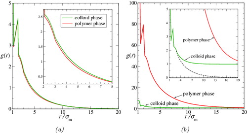 Figure 11. Monomer–monomer radial distribution functions of the polymers in both phases for the colloid–polymer system with a size ratio of σc/σm = 20 and polymer length m p = 100 at the reduced pressure P* = 10: (a) internal monomer distribution g mm, internal(r) for segments on the same chain; and (b) overall monomer distribution g mm(r). The green curves represent results for the colloid-rich phase while the red curves correspond to those of the polymer-rich phase. The dashed black curve in the inset of (b) represents the internal monomer distribution for the colloid-rich phase (i.e., the green curve from (a)); comparison of this curve with the overall distribution reveals the extent of interpenetration of the polymer chains in this phase (see the text for a discussion). The separation of the green and red curves in (b) indicates that the polymer chains in the polymer-rich phase interpenetrate far more than those in the colloid-rich phase.