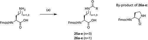 Scheme 4 Synthesis of Fmoc-protected l-norleucine (n=3, 25a-e) and l-α-aminobutyric acid (n=1, 26a-e) derivatives containing acetamide moiety. R = CH3, CF2H, CF3, CF2Cl, CF2Br. Reagents and conditions: (a) NMM, corresponding anhydride (RCO)2O, THF, argon atmosphere, 0 °C to rt, 2.5 h.