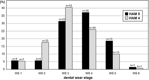 Figure 9. Mortality profiles (age-frequency distribution) of the minute beaver Euroxenomys minutus (von Meyer Citation1838), from the early Late Miocene locality Hammerschmiede (Bavaria, Germany), based on lower premolars from the local stratigraphic levels HAM 5 and HAM 4. Each bar corresponds to an age class, defined by either morphologic criteria (WS 1-WS 2) or mathemathical spread of the tooth crown height (WS 3-WS 6) as defined in the materials and methods section. Vertical axis represents the percentage of individuals within the corresponding local stratigraphic level.