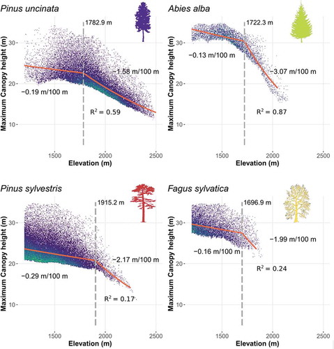 Figure 6. Relationship between terrain elevation and maximum canopy height in the Spanish Pyrenees, split across the main dominant species. Orange lines represent the predictions according to a segmented log-linear regression model, and dashed line represents the breakpoint identified by the same model. Values indicate the approximate rate of change in maximum canopy height for a 100 m change in elevation below and above the breakpoint. The segmented log-linear model is the average prediction of 1,000 models fitted to random subsets of the original dataset. R2 for each model is calculated as the coefficient of determination of the relationship between the observed data and the predicted data using the validation dataset