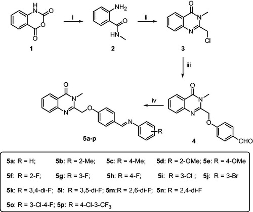 Scheme 1. Synthetic route of target compounds 5a-5r. Reagents and conditions: (a) CH3NH2, DMF, 50 °C; (b) 2-chloroacetyl chloride, AcOH, reflux; (c) 4-hydroxybenzaldehyde, K2CO3, KI, DMF, rt; (d) R-aniline, AcOH, toluene, reflux.