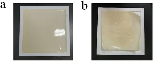 Figure 4. (a) The electrically conductive elastomer product before drying; (b) The electrically conductive elastomer product after drying 18 hours.