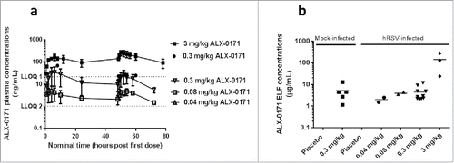 Figure 2. Pharmacokinetic profiles from studies 2, 3 and 4. (a) Mean plasma concentration-time profiles of ALX-0171 and (b) ALX-0171 concentrations in epithelial lung lining fluid (ELF) after three consecutive daily administrations by inhalation to neonatal lambs for studies 2, 3 and 4 combined. ALX-0171 concentrations in ELF were derived from concentrations measured in BALF, which was sampled postmortem, after normalization for dilution based on the Urea correction methodCitation 63 (values were red blood cell corrected). BALF was sampled 24 hours after the last dose. Plasma ALX-0171 concentrations that were below the lower limit of quantification were excluded from the analysis and the results are expressed as mean ± standard error. The hatched line represents the lower limit of quantifications (LLOQ) of the assays where LLOQ 1 is for the assay used in studies 2 and 3 and LLOQ 2 for the assay used in study 4. ALX-0171 concentrations in ELF are shown for each individual lamb with the mean indicated as horizontal line. In panel (a) Solid symbols are data from study 2, open symbols are from study 4. All 3 data points from study 2 – 0.3 mg/kg ALX-0171 dose gorup were <LLOQ1. All data points for study 3 – 0.04 mg/kg ALX-0171 dose were <LLOQ2.