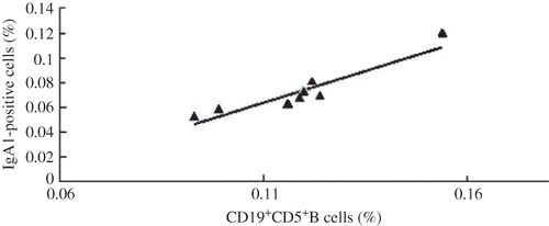 Figure 4. Correlation analysis of CD19+CD5+B cells and IgA1-positive cells in IgA in the tonsils of nephropathy patients. The drawn line represents the ideal of identical results in the two observers (r = 0.778, p = 0.023).