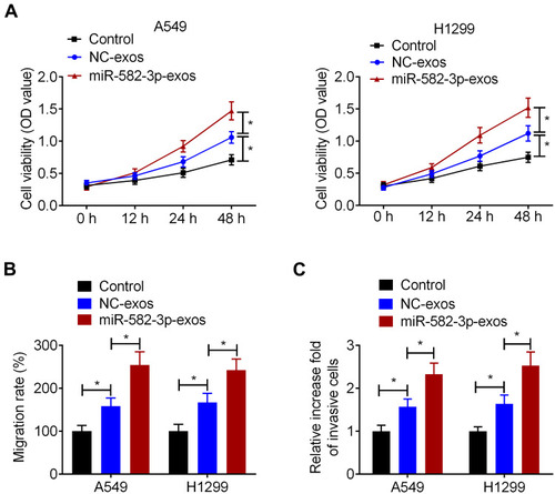 Figure 4 Hypoxic NSCLC cell-secreted exosomal miR-582-3p promotes the proliferation, migration, and invasion of normoxic NSCLC cells. A549 and H1299 cells were incubated with miR-582-3p-exos or NC-exos. (A) The viability of A549 and H1299 cells was detected by CCK-8 assay. The wound healing assay (B) and transwell assay (C) were used to detect the migration and invasion abilities of A549 and H1299 cells. The experiments were repeated three times. Data were expressed as mean±standard deviation. *p<0.05.