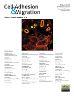 Cover image for Cell Adhesion & Migration, Volume 8, Issue 3, 2014