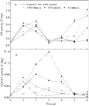 Figure 6. Changes in GS and GOGAT activities over time in media with different concentrations of Mn2+. Note: GS activity is expressed as absorption values increased per hour per milligram of protein. GOGAT activity is expressed as micromoles of NADH oxidized per minute per milligram of protein.