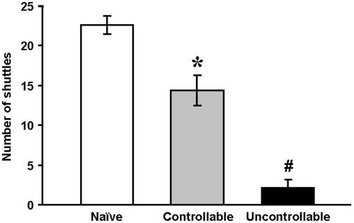 Figure 4. Exploratory behavior in a novel setting one month after training.Exploratory behavior of the uncontrollable (n = 12) group, naïve group (n = 19) and controllable group (n = 14) was determined by the number of shuttles performed in the novel shuttle boxes.One-way ANOVA.*Significantly different from naïve and uncontrollable groups (p < 0.01); #Significantly different from naïve and controllable groups (p < 0.01).