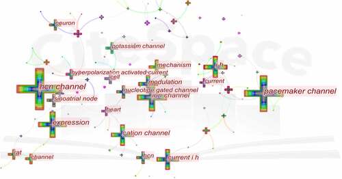 Figure 7. The analysis of keywords in HCN channels research.