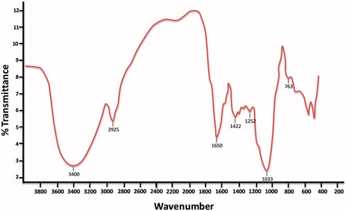 Figure 1. FTIR spectrum of S. papillosissima.