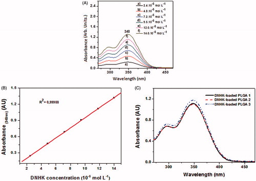 Figure 1. (A) Absorption measurements of DNHK standard solutions by UV–Vis spectroscopy. (B) DNHK standard curve in acetonitrile acquired using the DNHK absorbance values at 348 nm. (C) Electronic absorption spectra of DNHK extracted from the PLGA nanoparticles. The three curves for each fibre indicate the triplicate, and all graphics were obtained by using Origin 8.0 software.