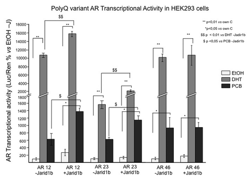 Figure 5. Transcriptional activity of different Poly Q variant of AR in HEK 293 cells cotransfected with plasmids (pCMV3.AR/Q12 or pCMV3.AR/Q23 or pCMV3.AR/46) coding for a AR with different CAG repeat length (12 PolyQ, 23 PolyQ or 46 PolyQ) and pcDNA 3.1-hJarid1b-myc-his (or an empty vector). Cells were treated with ETOH, DHT 10–7 M or the PCB mixture 10–7 M. EtOH, ethanol; PCB, polychlorinated biphenils; DHT, dihydrotestosterone.
