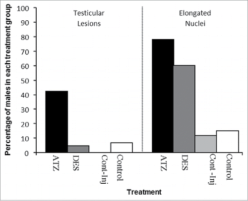Figure 6. The percentage of male neonatal N. metallicus born to ATZ (n = 28), DES (n = 24) Control-Injected (sesame oil, n = 26) and control (n = 3) treated mothers with testes exhibiting testicular lesions (left); or testicular cells with elongated nuclei (right). In utero ATZ exposure resulted in more males exhibiting testicular lesions compared with males born to DES-treated mothers, while exposure to ATZ and DES resulted in more males exhibiting cells with elongated nuclei.