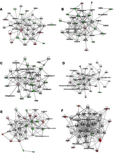 Figure 4 Protein-Protein interaction networks of DEPs identified by IPA. There are only shown the two top networks of each core analysis. (A and B):B-ALL:versus control group. (C and D):T-ALL versus control group. (E and F):T-ALL versus B-ALL group. (A) Network A are related with: cellular movement/hematological system development and function/immune cell trafficking; (B) Network B are implicated in: hematological system development and function/organismal functions/tissue development; (C) Network C are involved in: cell-to-cell signaling and interaction/hematological system development and function/inflammatory response; (D) Network D are implicated in: lipid metabolism/molecular transport/small molecule biochemistry; (E) Network E are related with: lipid metabolism/molecular transport/small molecular biochemistry; (F) Network F are involved in: cellular movement/hematological system development and function/immune cell trafficking. Red symbols represent upregulated proteins, while green symbols represent downregulated proteins, and the proteins existed in the network but not identified in our analysis are depicted in white. The color intensity corresponds to the degree of significance. Solid lines indicate direct interactions and dashed lines indicate indirect interactions.
