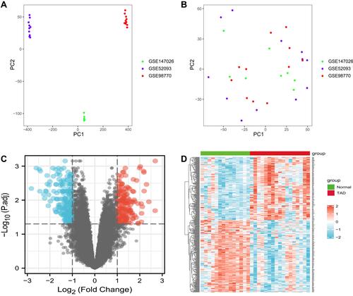 Figure 1 Principal component analysis (PCA) of the gene expression datasets and differently expressed mRNAs in TAD. The points of the scatter plots visualize the samples based on the top two principal components of gene expression profiles without (A) and with (B) the removal of batch effect. The colors represent samples from three different datasets, respectively. (C) The volcano graph shows the distribution of differently expressed mRNAs. (D) The heatmap of the mRNAs expression in TAD. In the volcano graph, the X-axis represents the fold changes of differently expressed mRNAs, and the Y-axis represents the adjusted p-value, red dots present up-regulated genes and blue dots present down-regulated genes (|log2foldChange| >1.0 and adjusted P value <0.05).