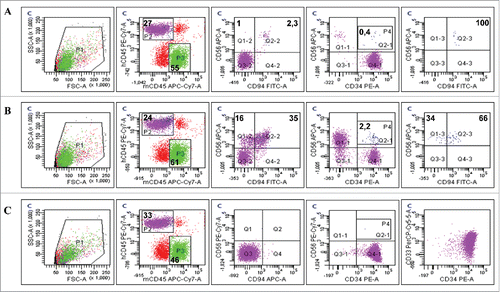 Figure 8. CD94-positive evNK interact with AML cells. Representative dot plots of CD56, CD94, and CD34 expression in blood isolated from AML-engrafted NSG mice injected with either evNK (A) or NKhd (B) at day 14 after NK cell intravenous injection. Untreated AML-engrafted mice were used as control (C). Anti-human CD45, CD56 and CD94 antibodies were used for NK cell identification. Anti-human CD45 and CD34 antibodies were used for AML cell identification. Bold numbers represent the percentage of cells in the corresponding quadrant. The percentages indicated in the third to fifth columns are calculated within human cells (P2 gate, hCD45+).