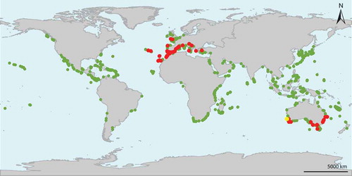 Fig. 2. Distribution map of a global Dictyota data set (green) highlighting the occurrences of D. cyanoloma (red) and D. sp8 (yellow).