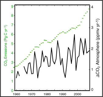 Fig. 1 The annual change in atmospheric CO2 concentration measured at the Mauna Loa site (black curve) and estimates of the annual CO2 emissions from fossil fuel burning and cement production (green bars). As is usefully done elsewhere (Prentice et al., Citation2001), the ratio of the two Y-axes is chosen such that the rate of CO2 change would track the emissions curve if all emissions were accounted for and remained in the atmosphere; the interannual variability seen in the CO2-change record is much larger than, and therefore cannot be explained by the interannual variability seen in the estimated emissions.