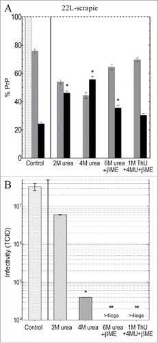 Figure 4. (A) shows PrP solubilization in 22L scrapie infected p18 particles, and (B) shows the corresponding TCID/gm after treatment with the denaturants indicated. The light gray bar is the residual p18 particle PrP (taken as 100%) and the black bars show the PrP solubilized by buffer control, and after parallel chemical denaturants. As much as 65% of PrP remains insoluble (medium gray bars) with treatments that induce the greatest >4 log loss of titer, e.g., with 6M urea + β-ME and with the 3 chemical combination of ThU, Urea + β-ME. The 22L scrapie agent is clearly more sensitive than the FU-CJD agent to destruction by 4M urea, and the 22L agent titer is also undetectable after 6M urea + βME, unlike FU-CJD. All p-values <0.05 (including * compared with **).