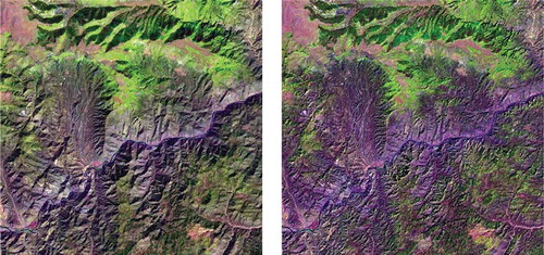 Figure 12. Left: Zoomed area of a Landsat 7 ETM+ image of Colorado, USA (path: 128, row: 021, acquisition date: 2000–08-09), depicted in false colors (R: band ETM5, G: band ETM4, B: band ETM1), 30 m resolution, radiometrically calibrated into TOARF values. Right: Output product automatically generated without human-machine interaction by the stratified topographic correction (STRATCOR) algorithm proposed in Baraldi et al. (Citation2010c), whose input datasets are one Landsat image, its data-derived L-SIAM color map at coarse color granularity, consisting of 18 spectral categories for stratification purposes (see Table 1), and a standard 30 m resolution Shuttle Radar Topography Mission (SRTM) digital elevation model (DEM).