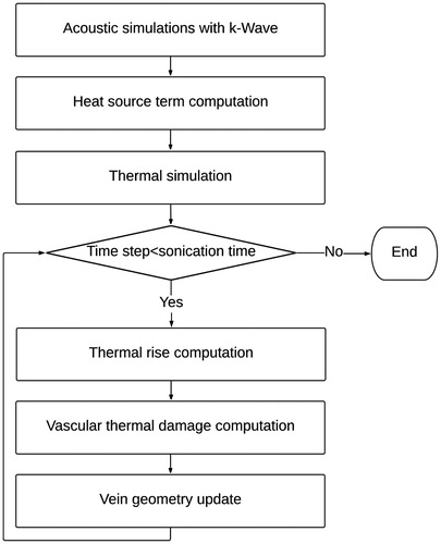 Figure 3. Flowchart of the methodology followed to model the vein wall shrinkage. The ultrasound propagation is first modeled using the k-wave library. From the acoustic simulations, the temperature evolution in tissues is dynamically estimated during the treatment. Based on the updated temperature field, the thermal damage to the vein is computed and the geometry of the vein is updated.