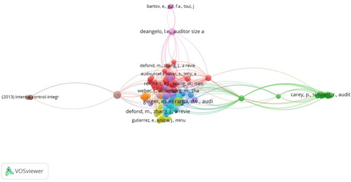 Figure 5. Co-Citation with Network visualization.